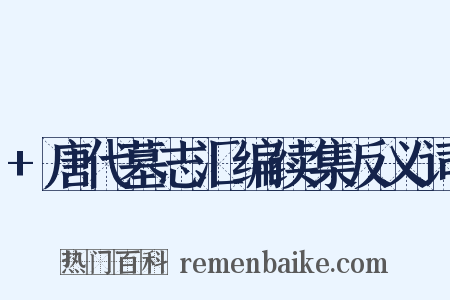 +唐代墓志汇编续集反义词是什么意思的图片